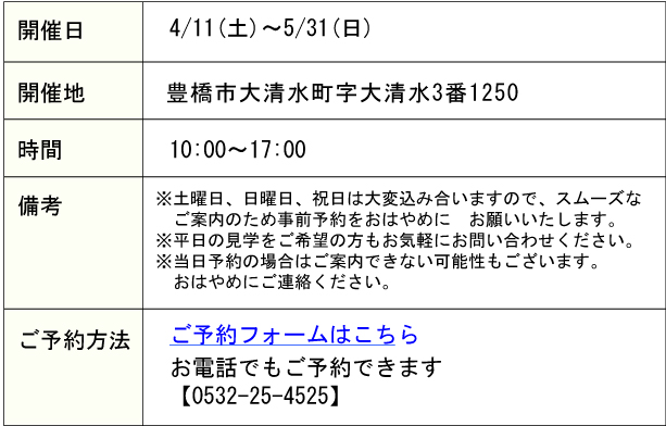 詳細