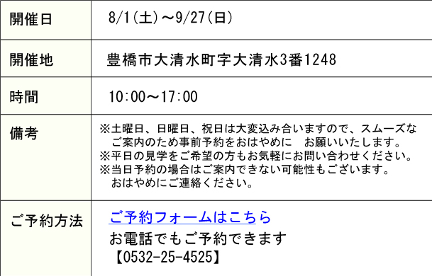 詳細