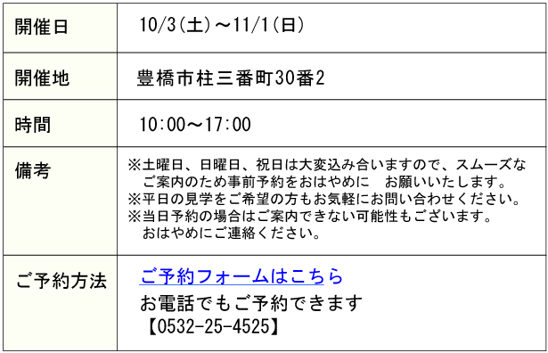 詳細